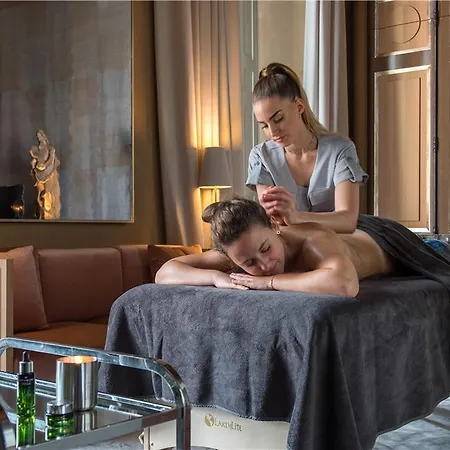 Отель Cour Des Vosges - Evok Collection 5*